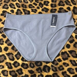 GAPbody Light Blue Underwear Size Large NWT Seamless Hipster